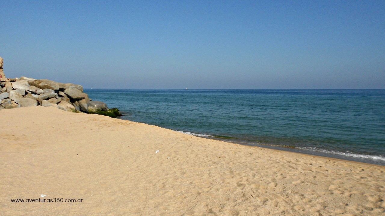 DSCN1831