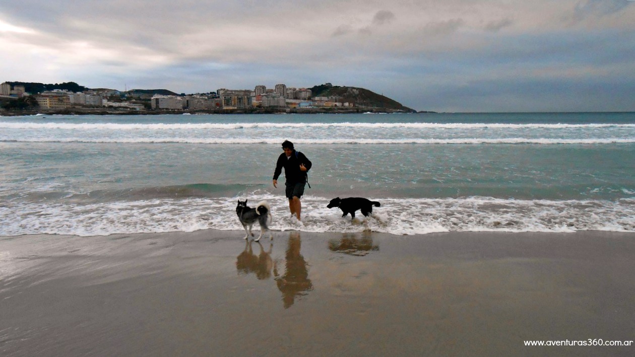 Ya en el Atlántico norte, unos perros se bañan conmigo en la ciudad de La Coruña DSCN2643